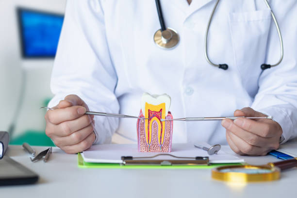 Best Emergency Cosmetic Dentistry in Newnan, GA